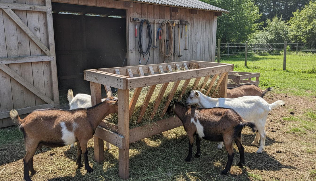 9 DIY Goat Hay Feeder 9 Cheap Builds That Actually Work.jpg