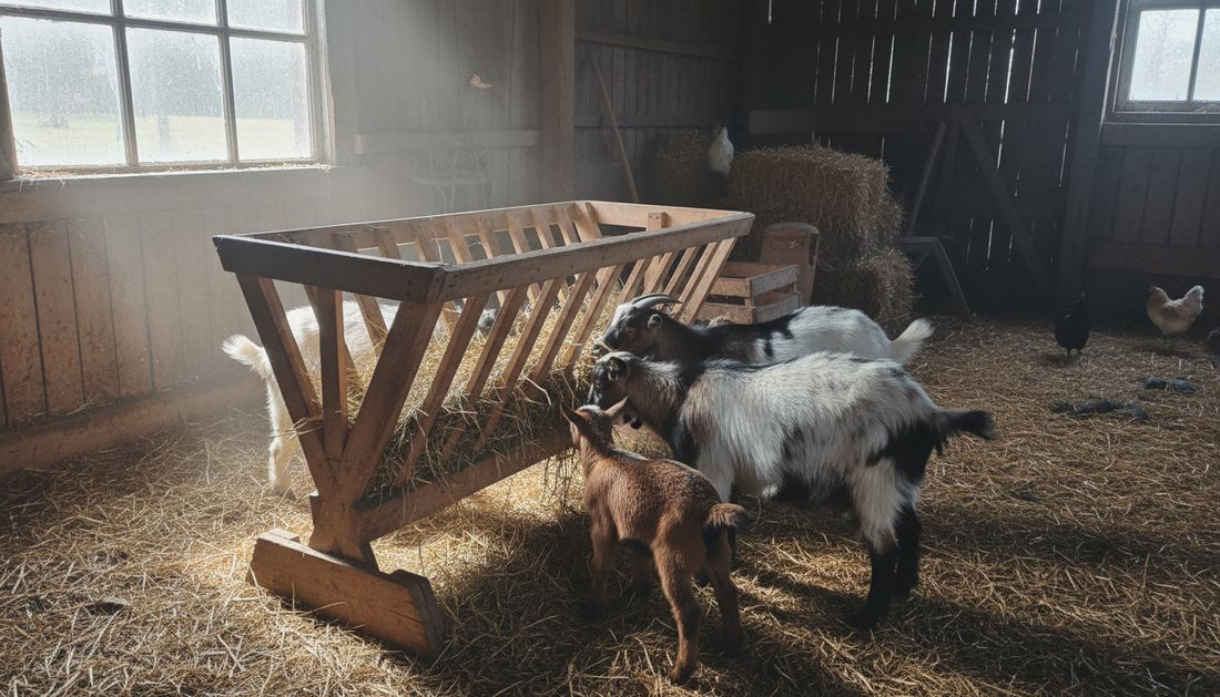 1 Homemade Hay Feeder for Goats Materials, Cut List, and Safety Rules Safe and Simple.jpg