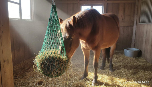 How to Choose a Slow Feeder Horses Net That Will Not Tear 10 Specs to Demand Before You Buy.jpg