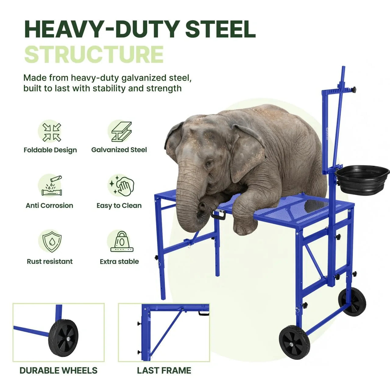 Heavy-duty galvanized steel structure of the blue goat stand #blue