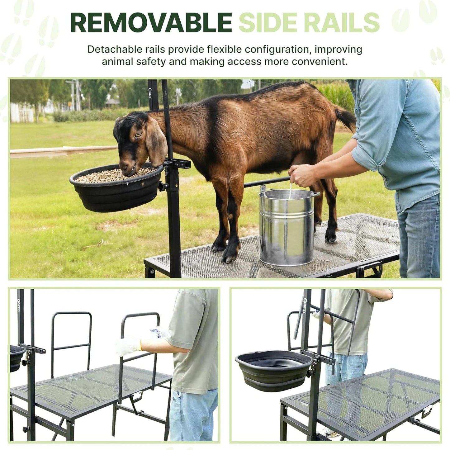 Adjustable legs and steel frame of the Goatzy goat milking stand