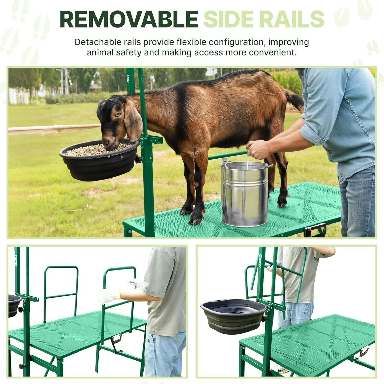 Removable side rails on the green Goatzy milking stand #green
