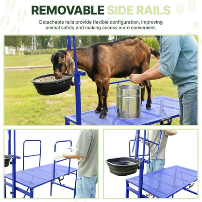 Removable side rails on the blue Goatzy milking stand #blue