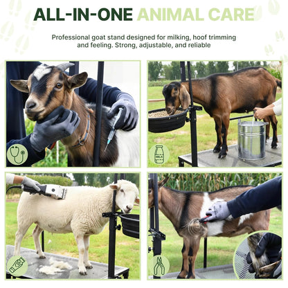 Goatzy goat milking stand dimensions and galvanized steel construction