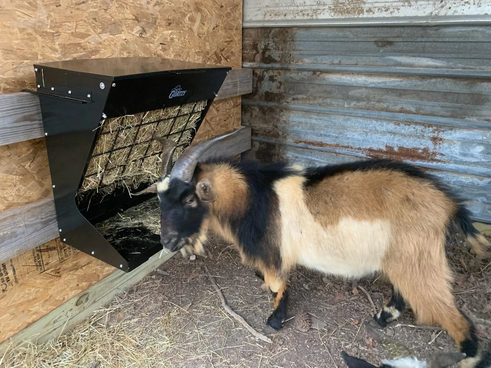 <h2>Don't take our word for it...</h2>