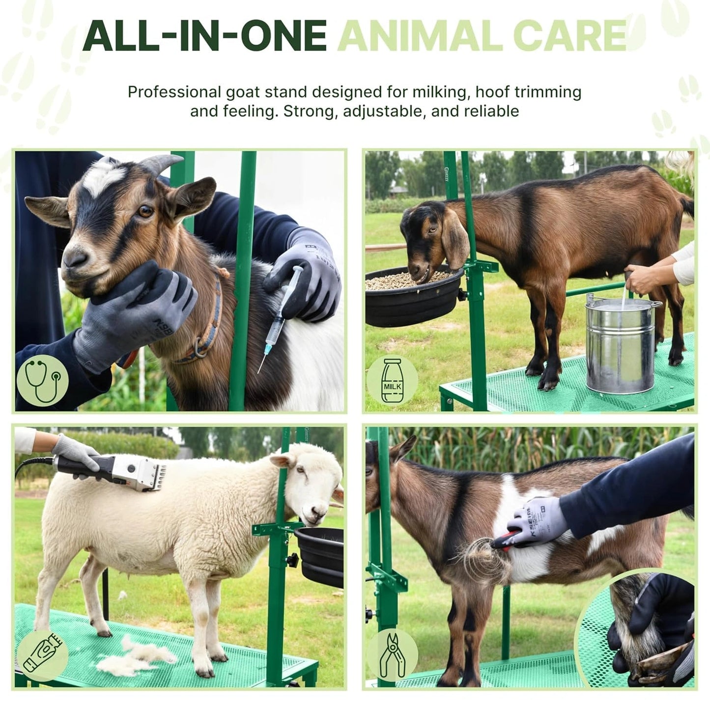 Goat Stand with Adjustable Headpiece & Legs for Goats & Sheep (GREEN)