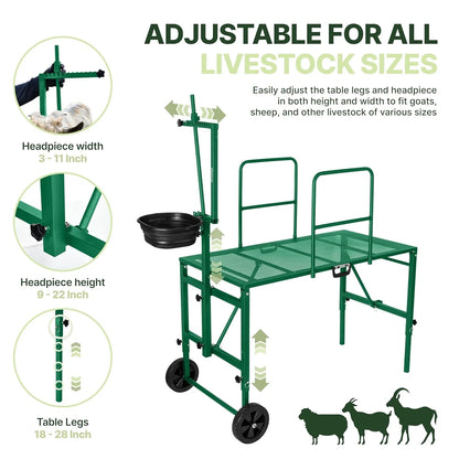Adjustable headpiece and legs on the green goat stand for all livestock sizes #green