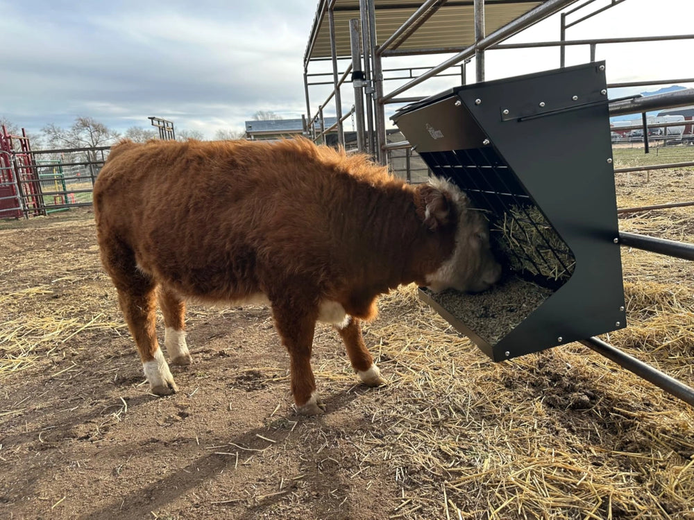 <h2>Don't take our word for it...</h2>