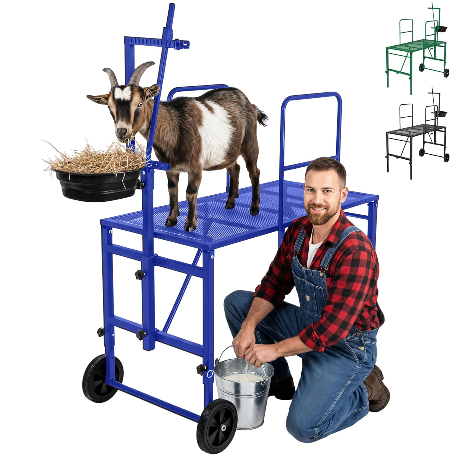 Goat Stand with Adjustable Headpiece & Legs for Goats & Sheep