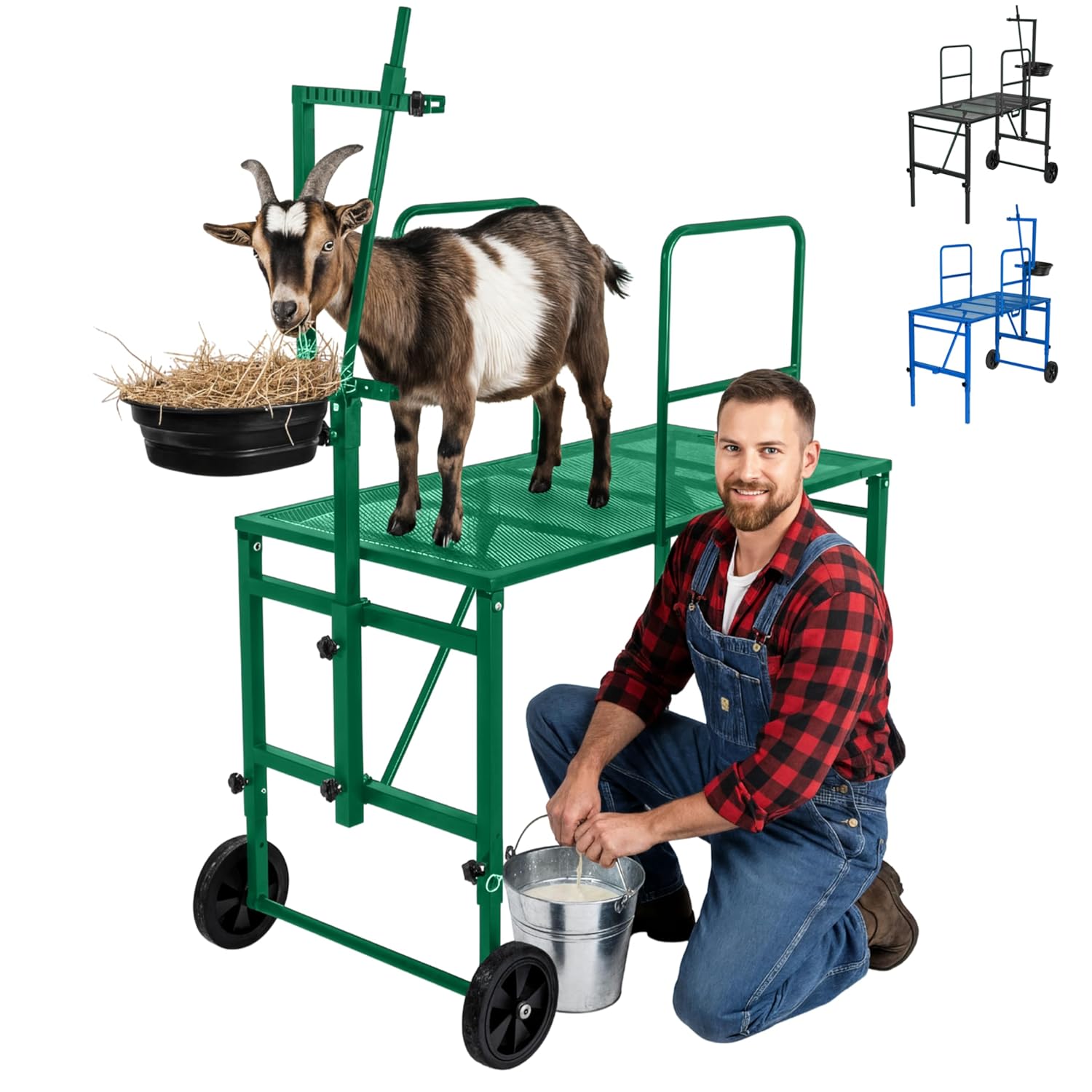 Goat Stand with Adjustable Headpiece & Legs for Goats & Sheep