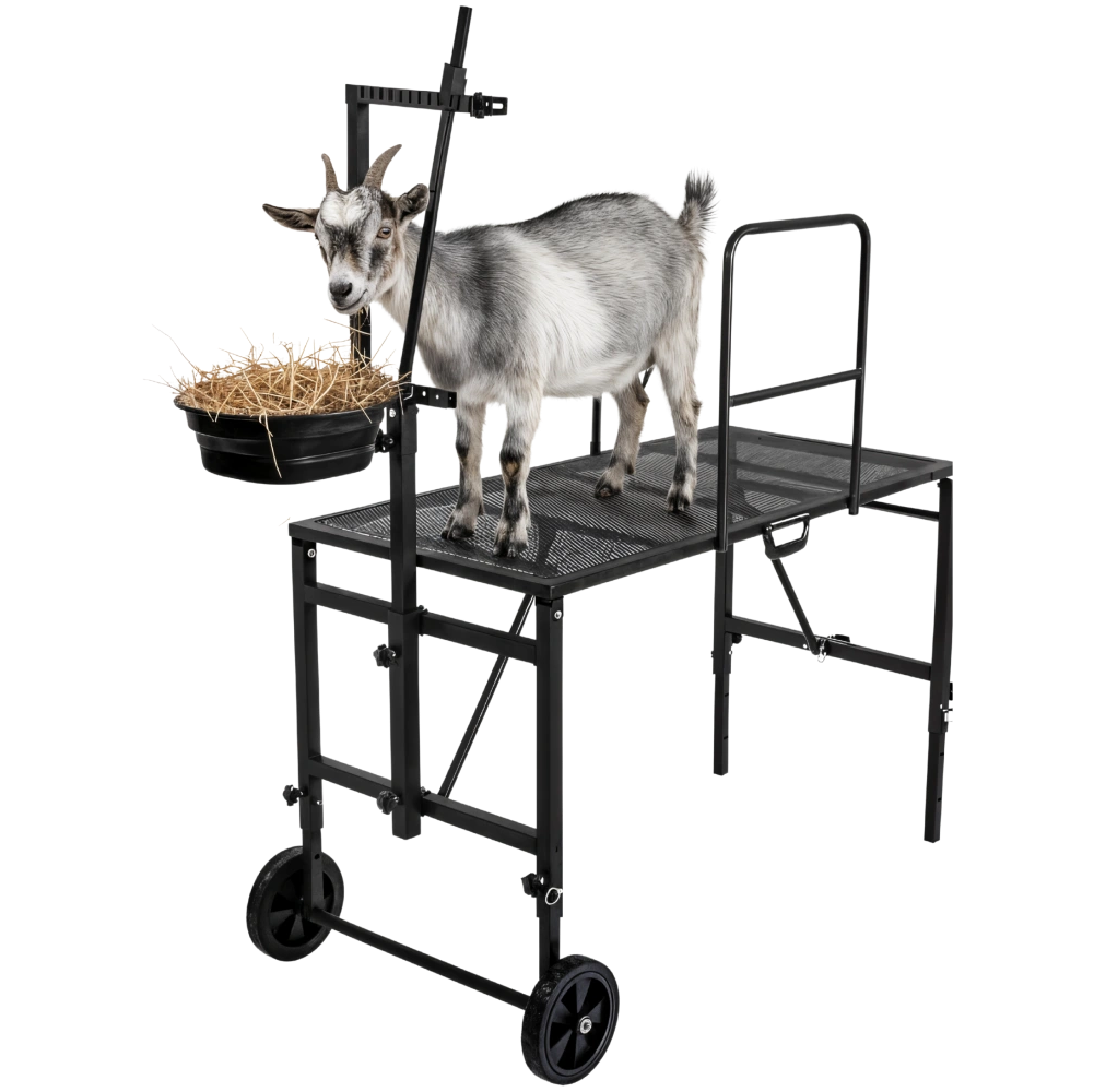 Goat Rails Goat Stands & Hay Feeders for Farmers & Ranchers – Goatzy