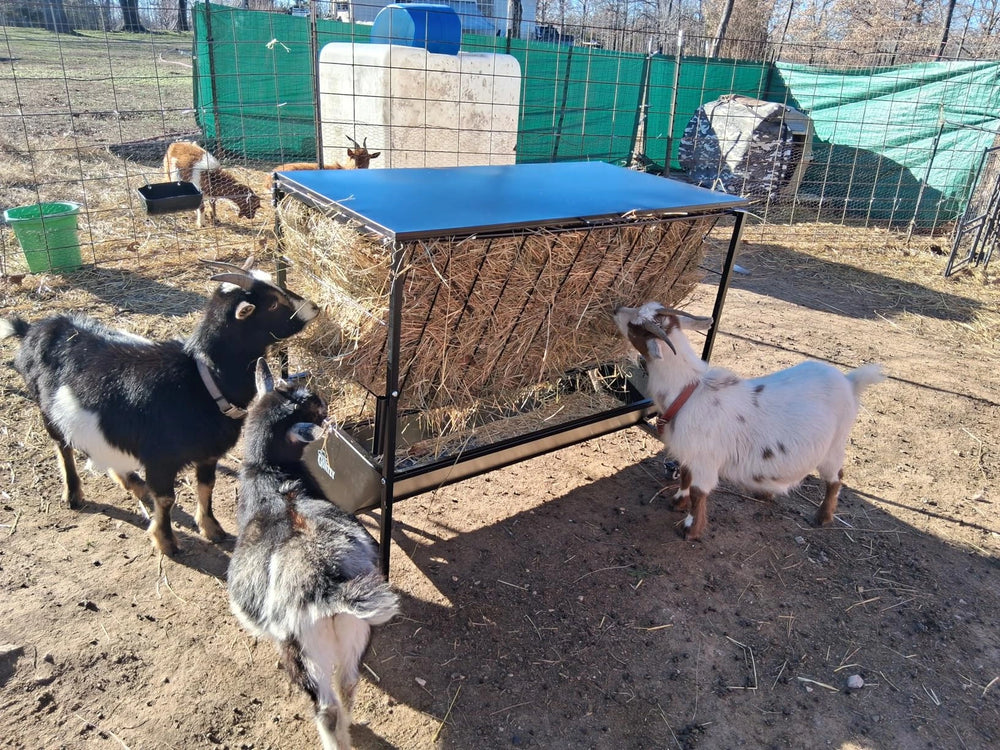 <h2>Don't take our word for it...</h2>