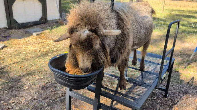 <h2>Don't take our word for it...</h2>