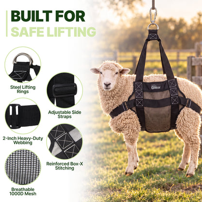 Steel lifting rings, adjustable side straps, 2-inch webbing, Box-X stitching and breathable mesh