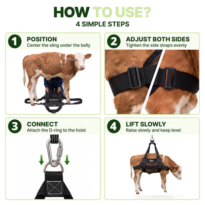 How to use the calf sling in 4 steps