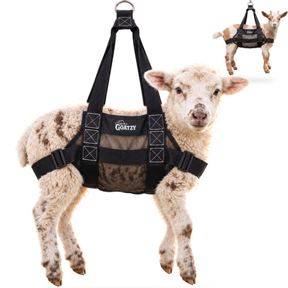 Goatzy Goat Sling on a lamb, steel ring at the top