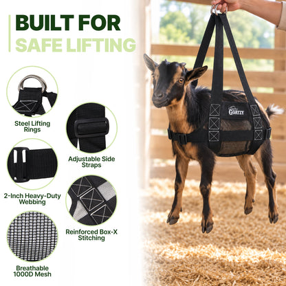 Steel rings, adjustable side straps, 2-inch webbing, Box-X stitching and breathable mesh on a goat
