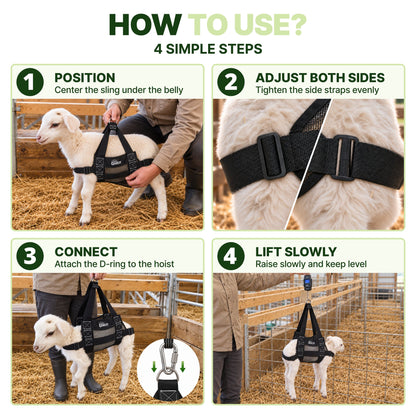 How to use the goat sling in 4 steps