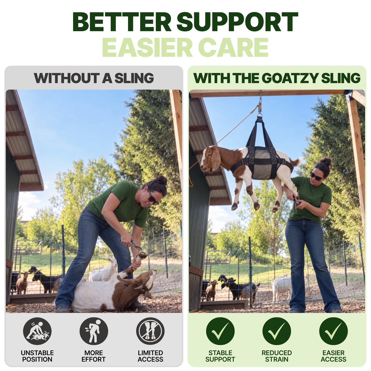 Lifting a goat by hand versus with the Goatzy sling