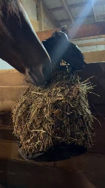 Hay Bag photo from a customer